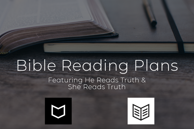 How Will You Read the Bible in 2020?