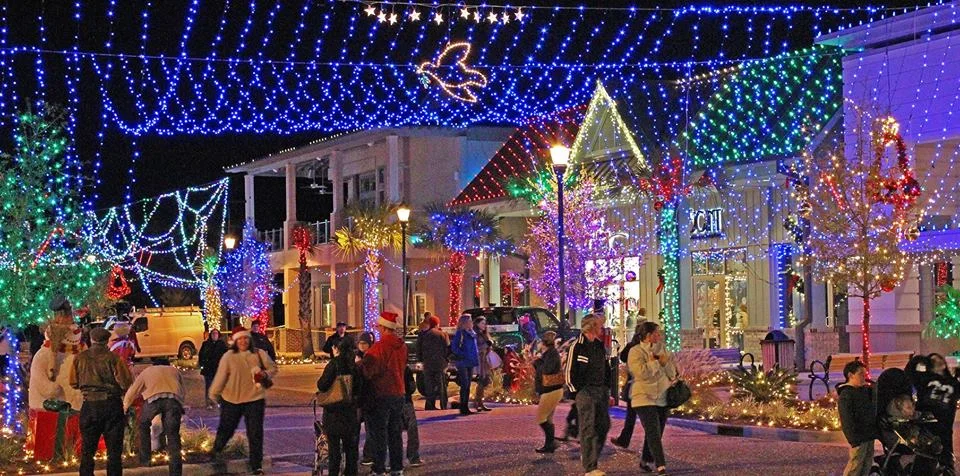 DSFOL Public Lighting Ceremony