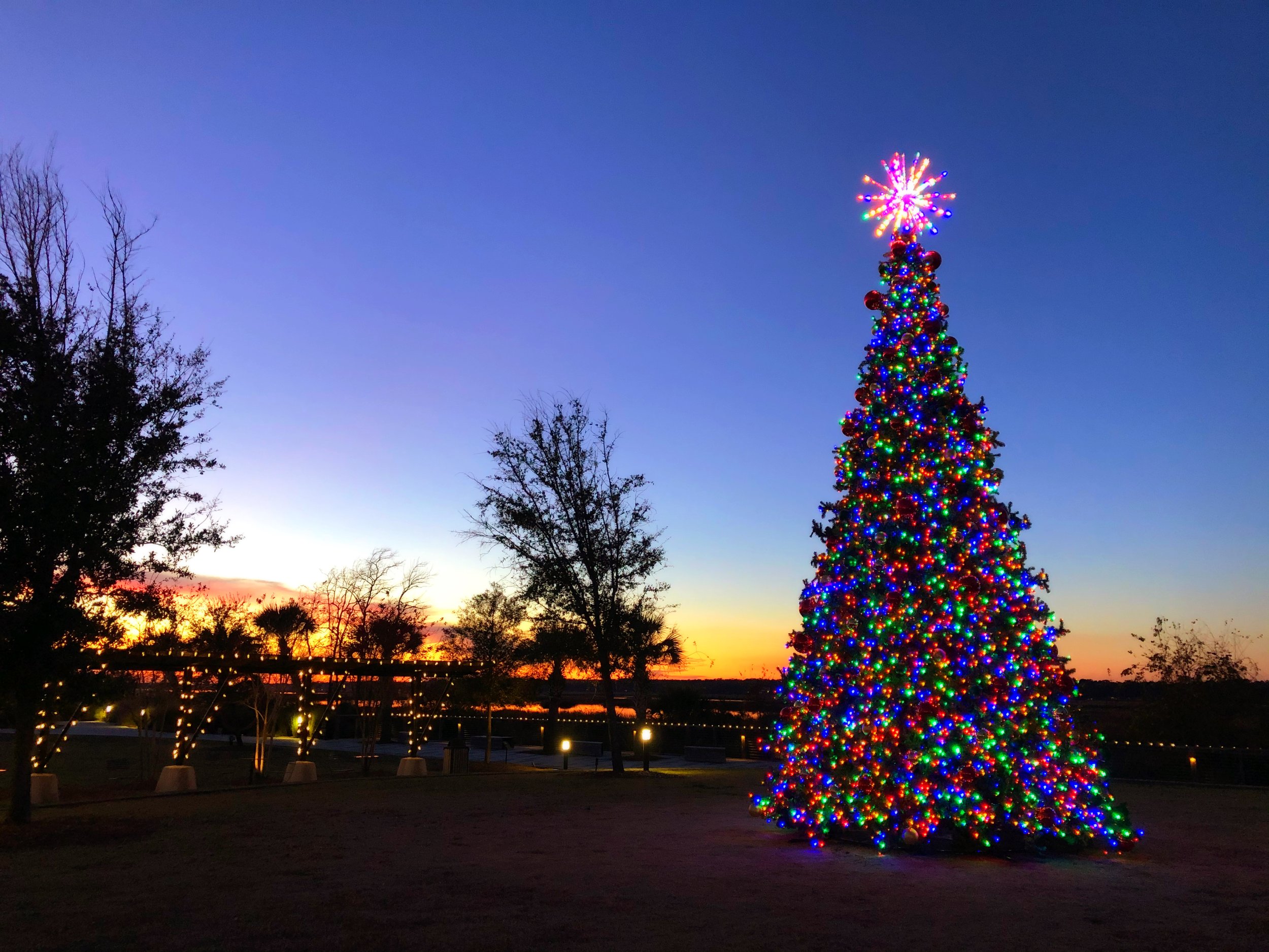 Holiday Lights at Shelter Cove Towne Centre