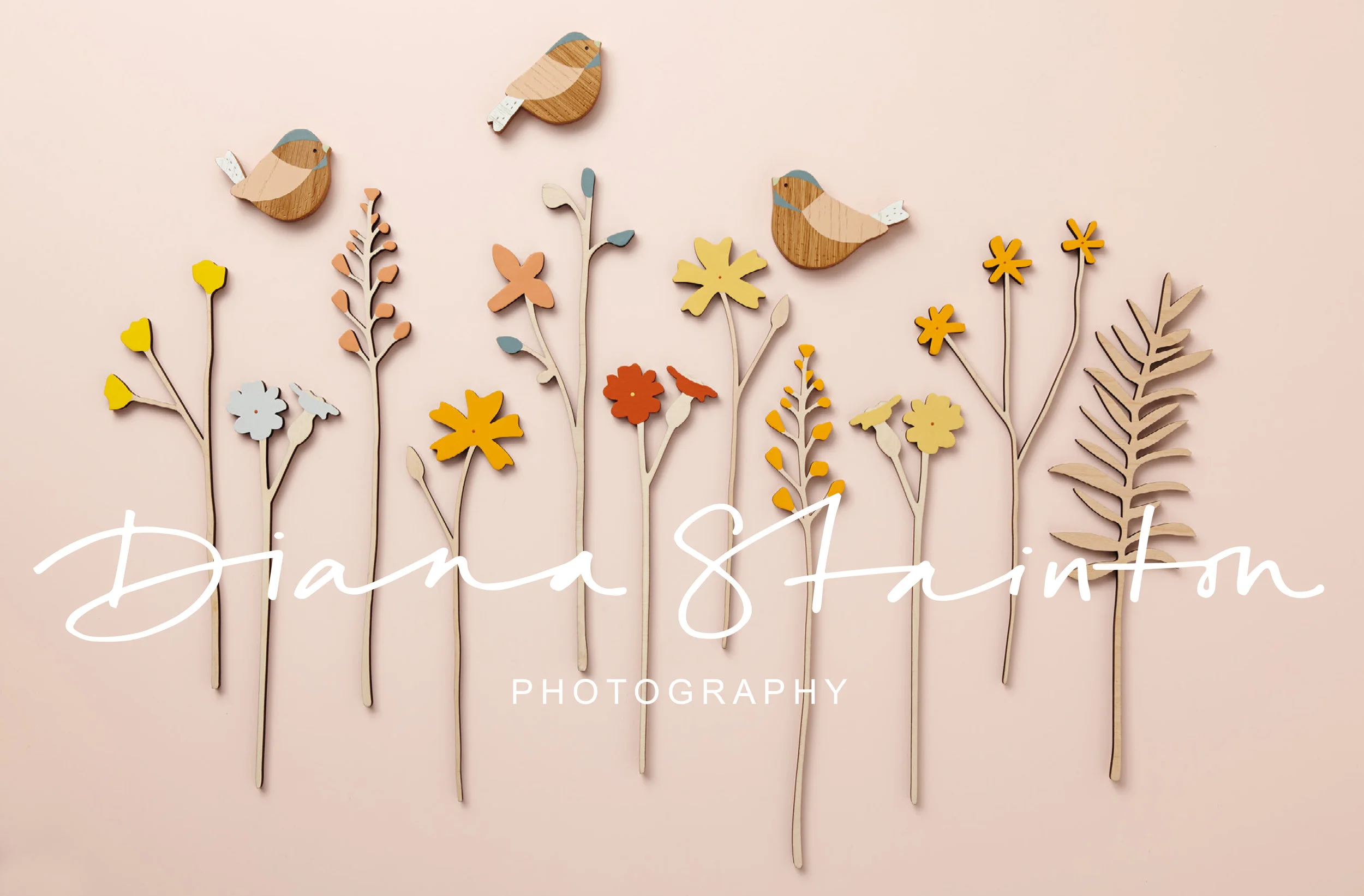 DIANA+STAINTON+PHOTOGRAPHY_INVERTED+LOGO.jpg