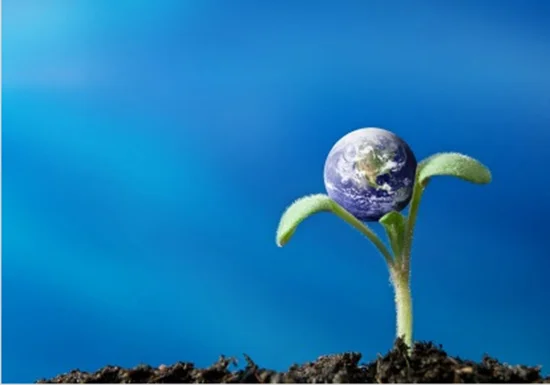 DE 15 MOOISTE INZICHTEN UIT HET BOEK ‘EEN NIEUWE AARDE’