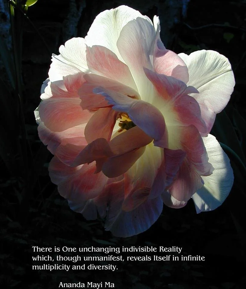 Laatste oproep voor gratis lessen morgen voor World Yoga Day!