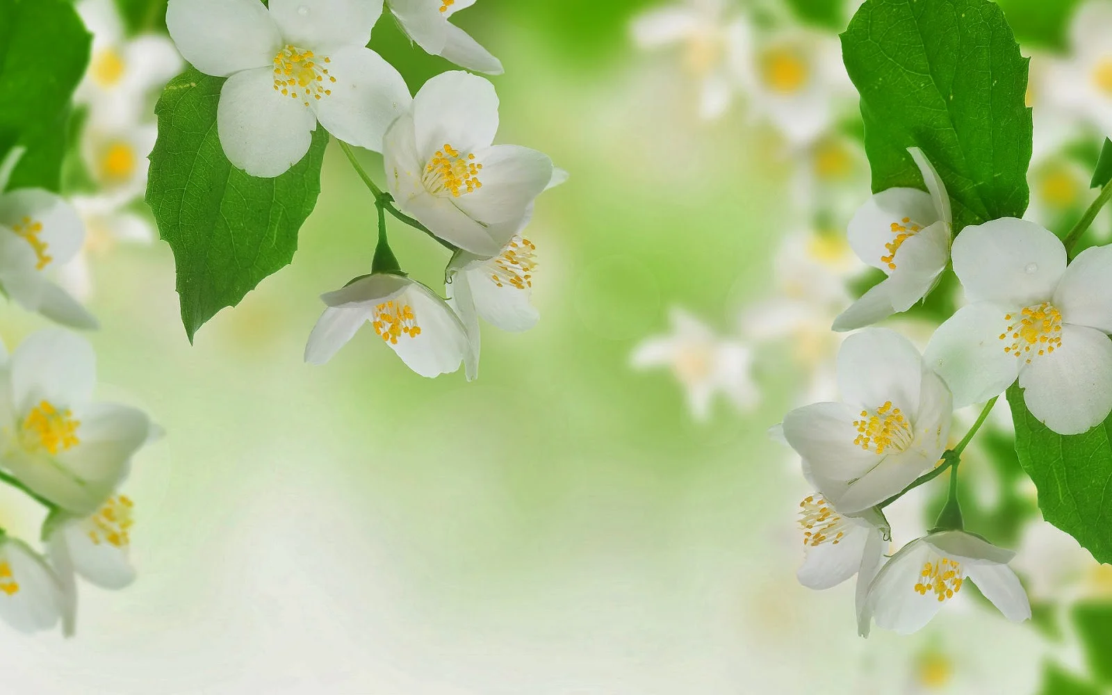 lente.jpg