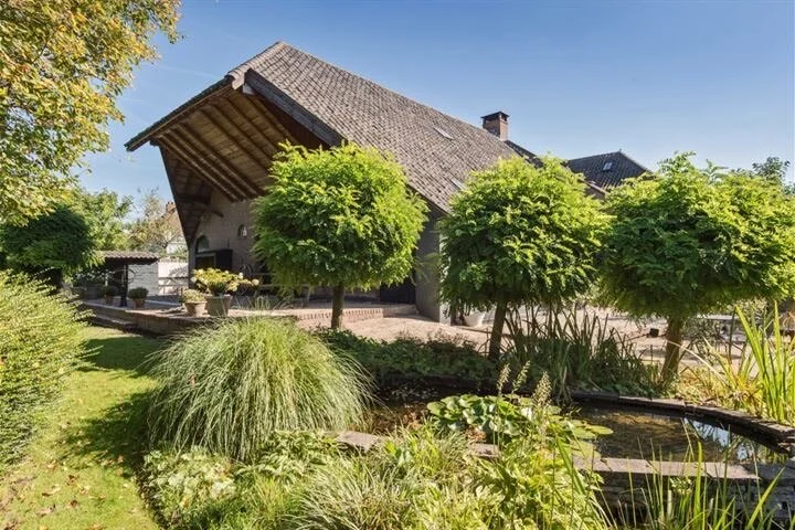 We zijn verhuisd! Dankwoord en afscheid, maar online lessen gaan door!