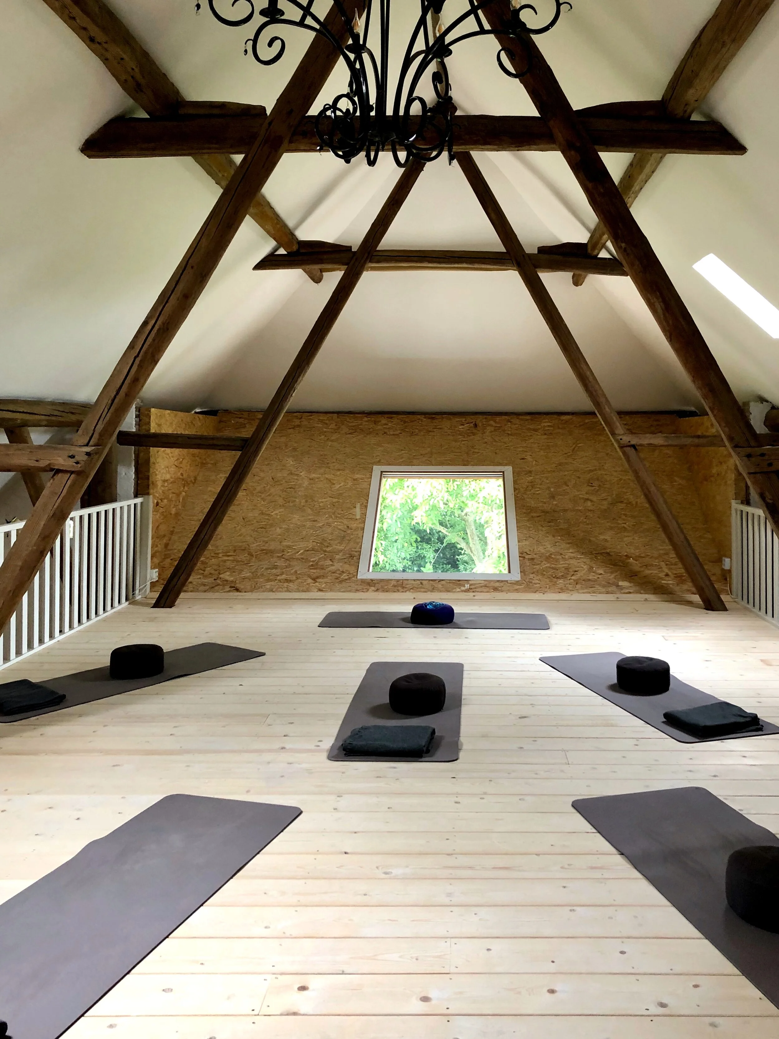 We hebben wat te vieren en dat doen we met gratis lessen!