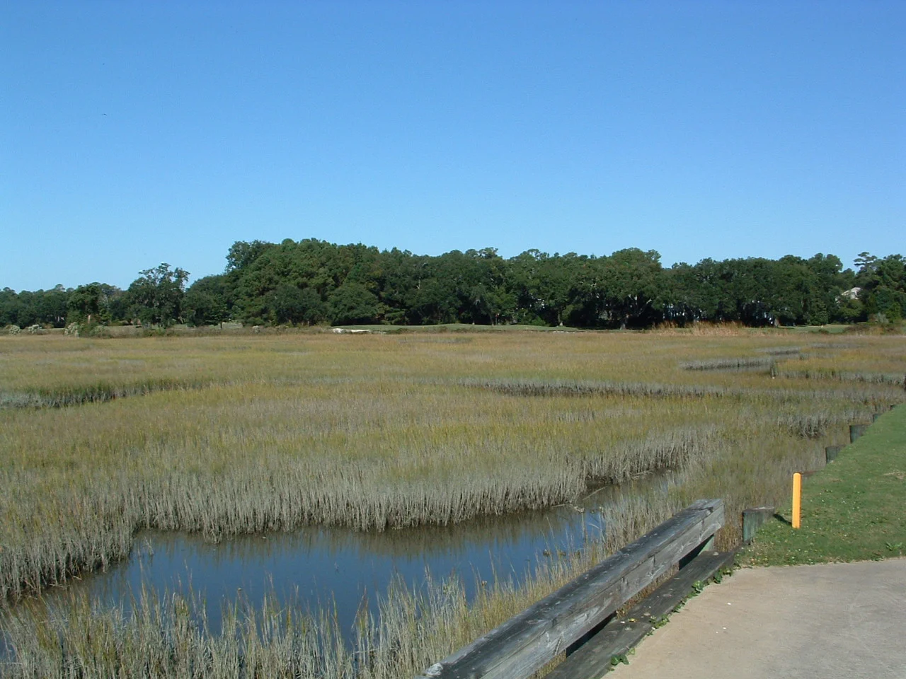 2008 Pecan Grove Trip to Myrtle Beach 012.jpg