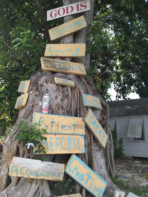 Inspirational Tree at All Saints Camp, Bahamas