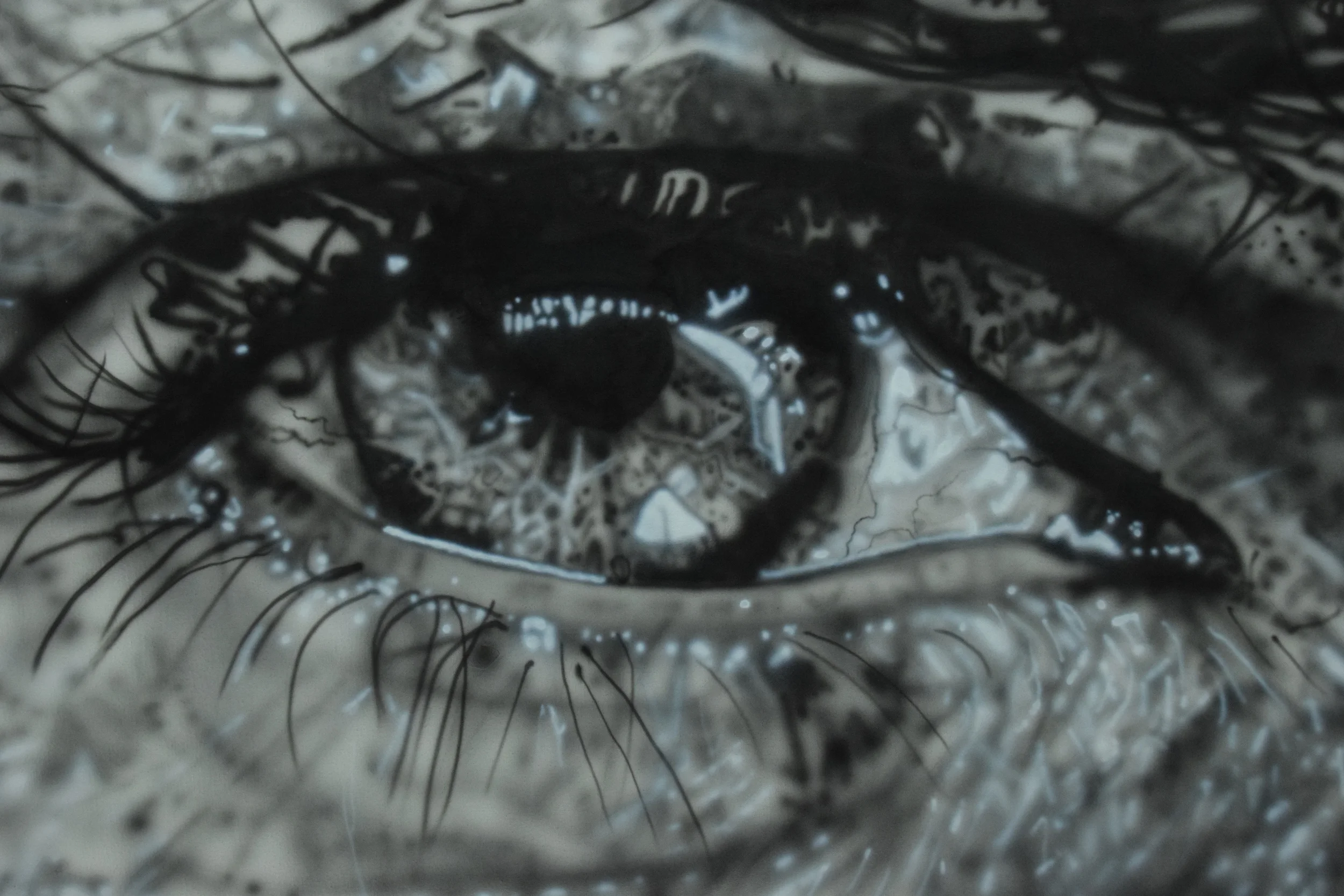 Vision