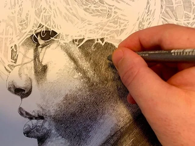 This pen and ink is starting to come along. The hair and background are for tomorrow.
:
#art #artist #artistsoninstagram #artistsofinstagram #fineart #finearts #drawings #worksonpaper #penandink #seattleartist #seattleart #seattleartpost #artscene #s
