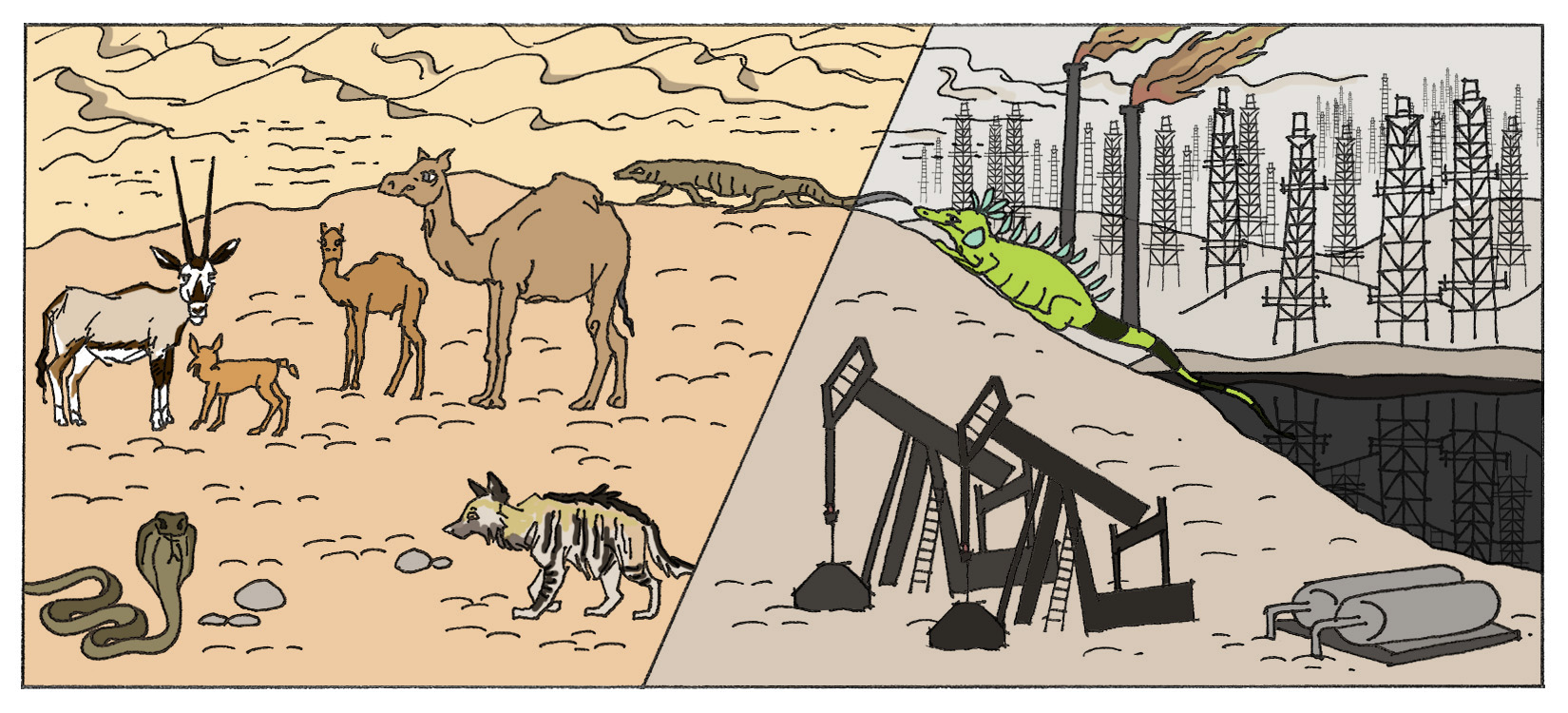 Fill_Desert.jpg