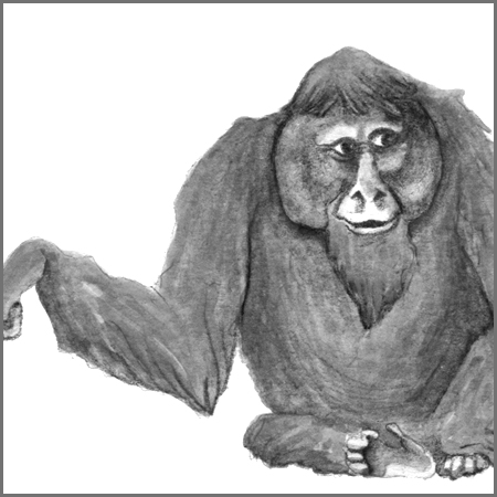 Little Animal Icons_Orangutan.jpg