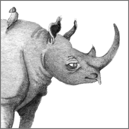 Little Animal Icons_Rhino.jpg