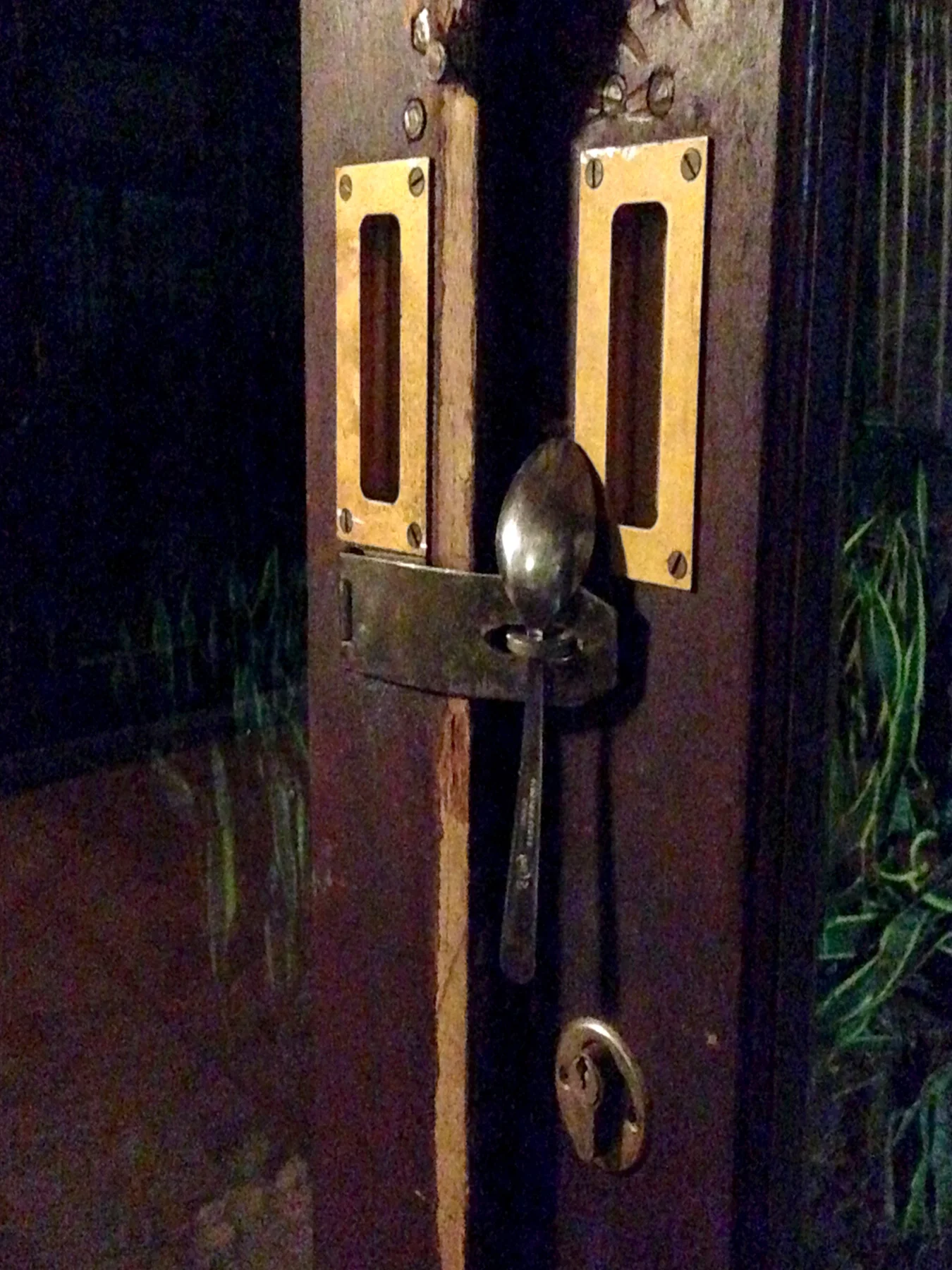 This is how you deter intruders and leopards in rural South Africa.