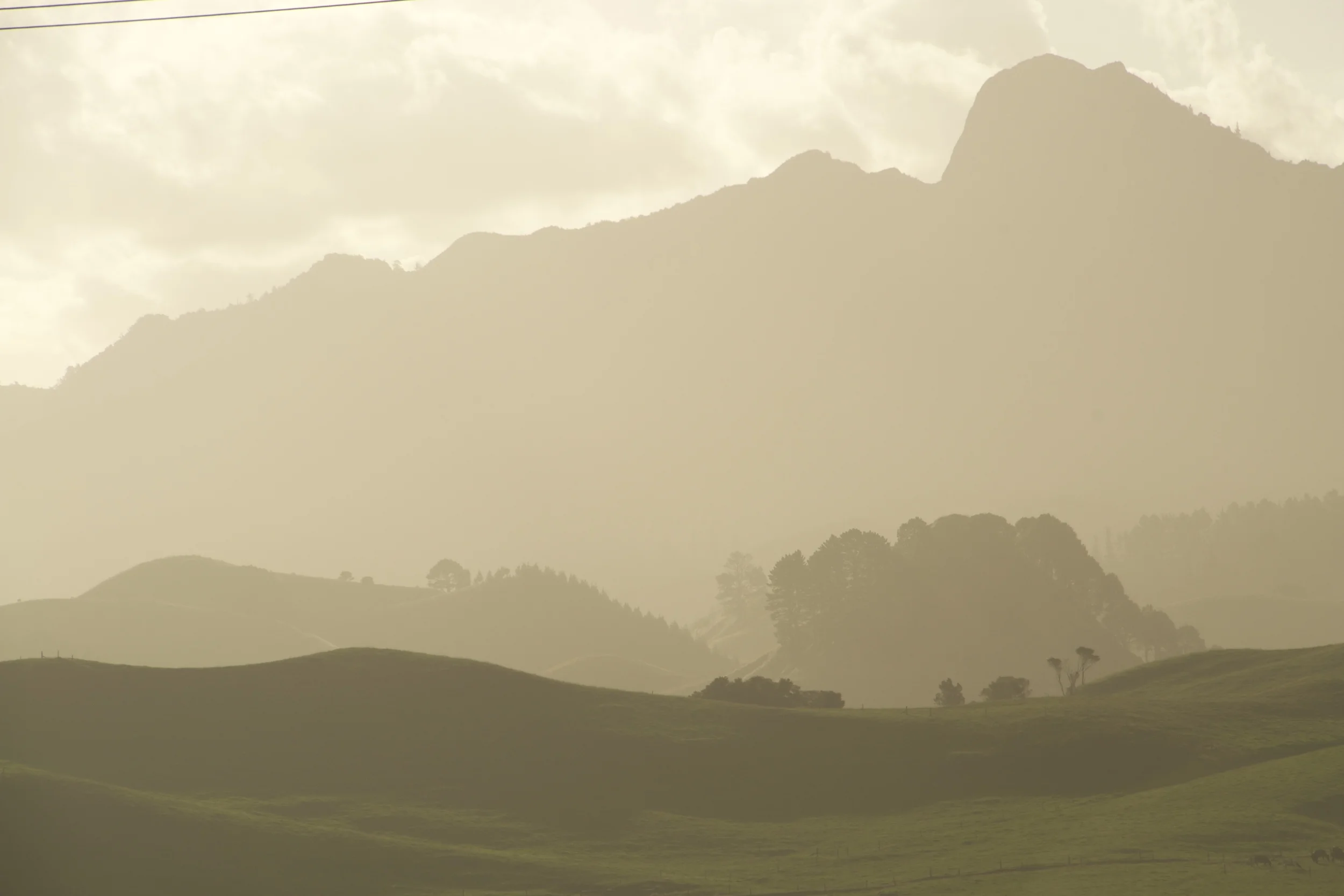 Coromandel