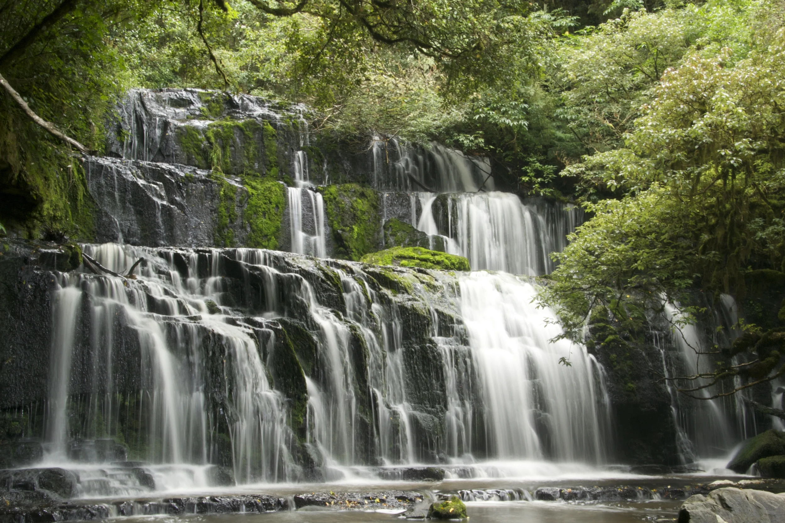 The Catlins