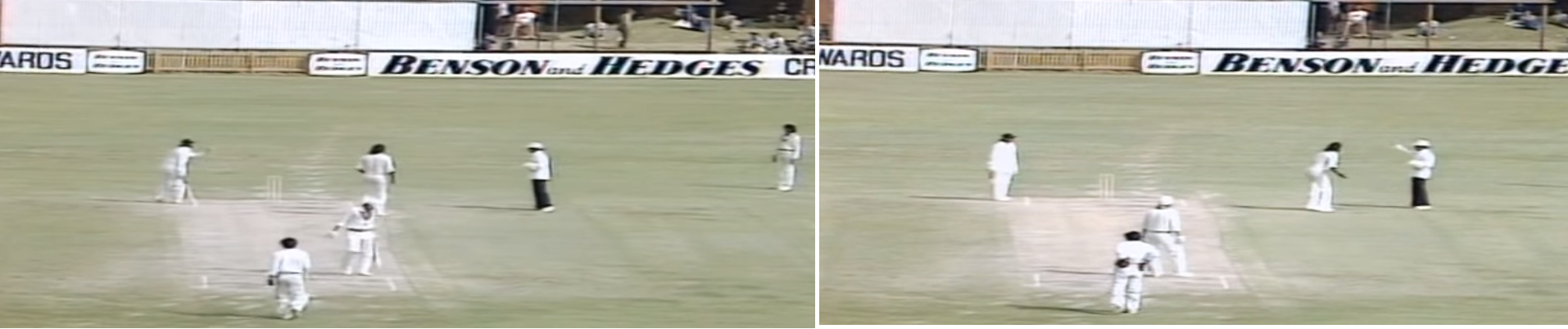 sarfrazhilditch.png