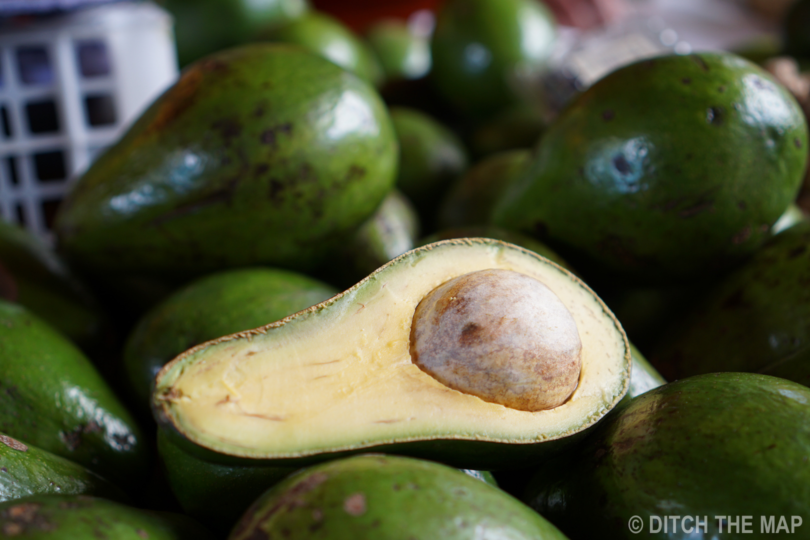 Avocado at a market in Bogota, Colombia