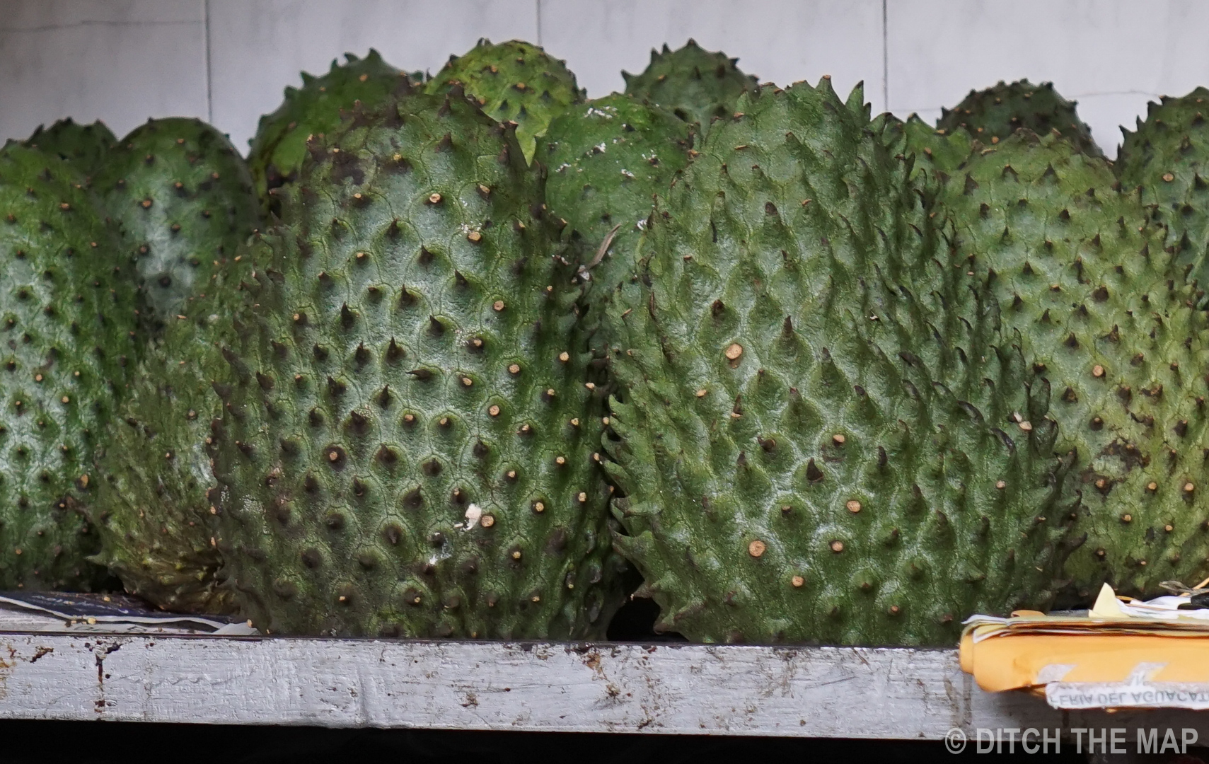 Soursop in Bogota, Colombia