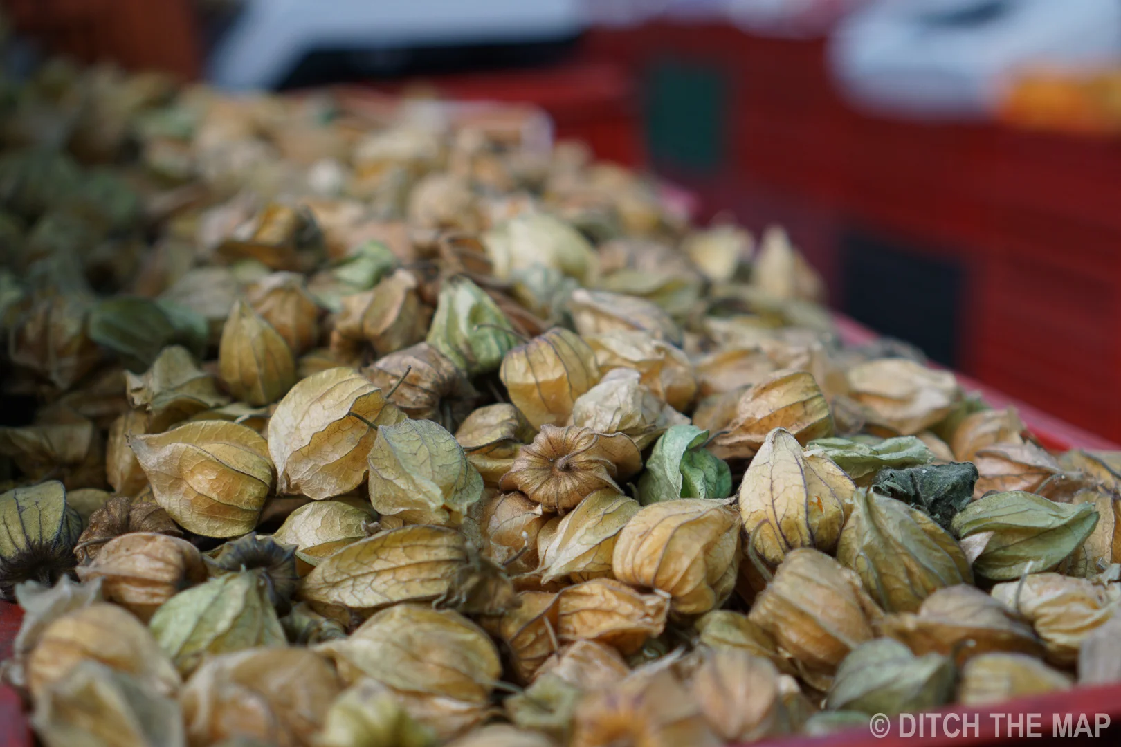 Gooseberry in Bogota, Colombia