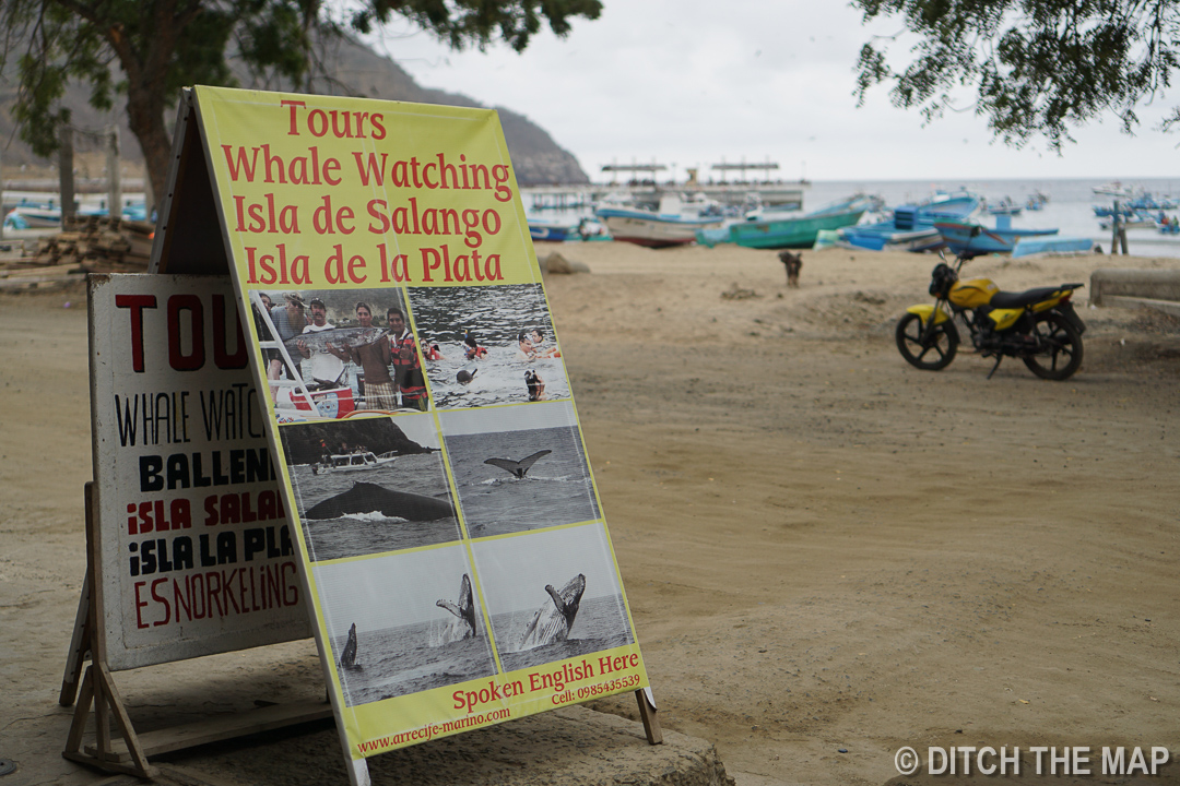 Our Tour in Puerto Lopez, Ecuador