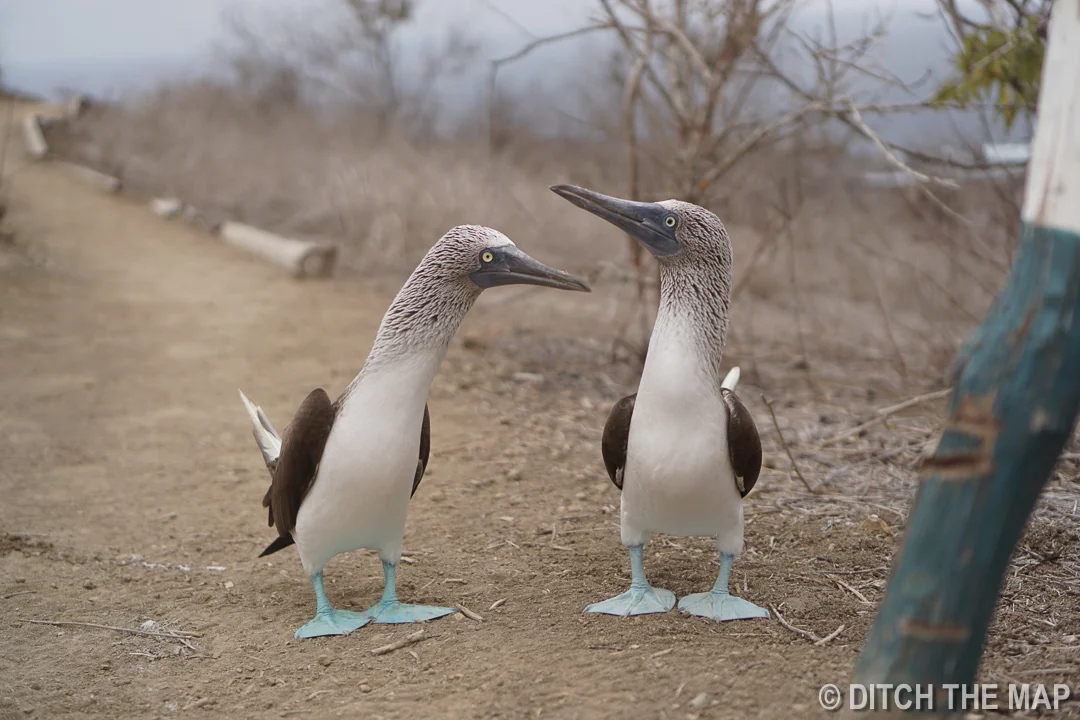 2 Days in Puerto Lopez, Ecuador