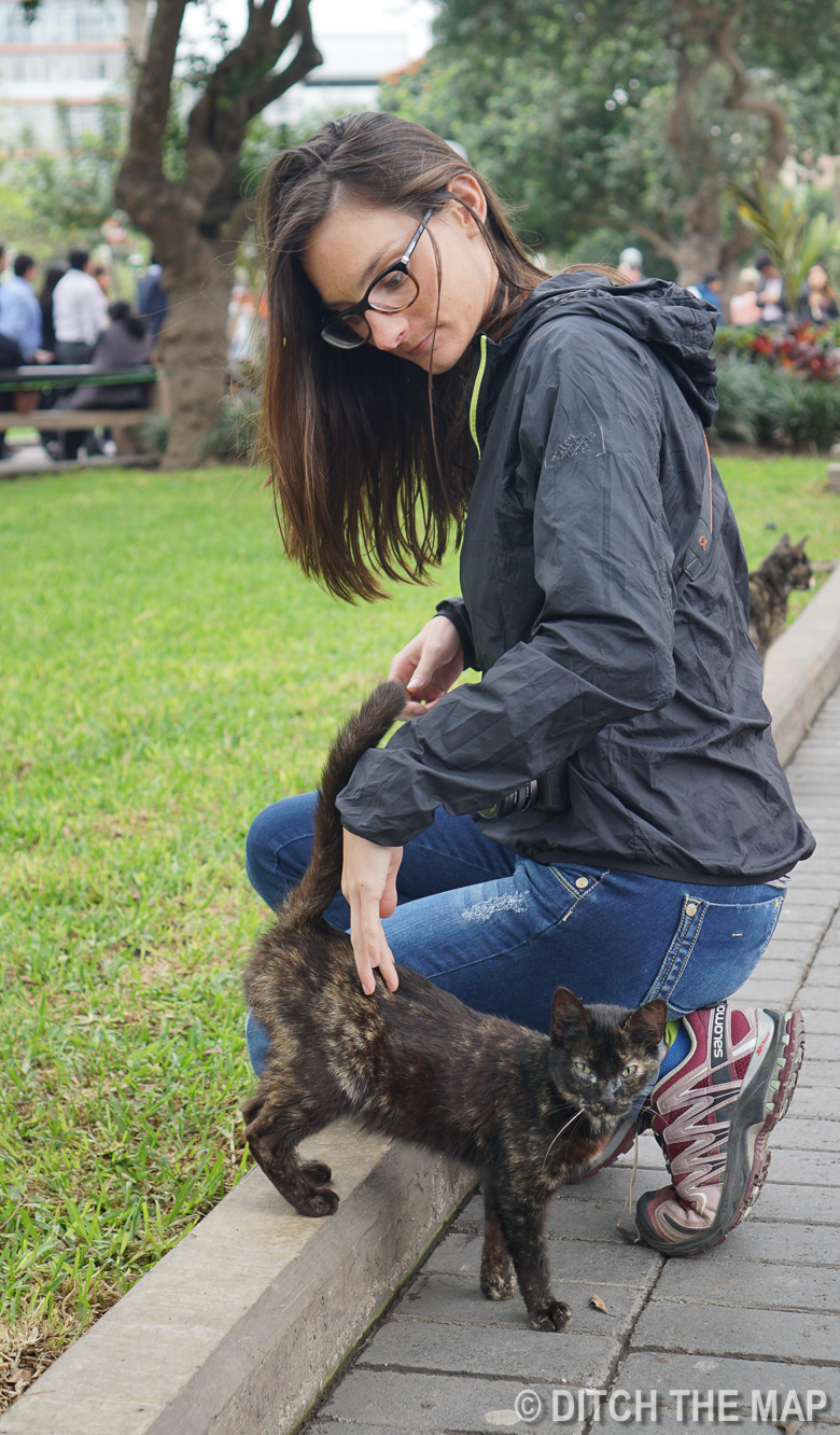 At Parque Central in Mira Flores, Lima, Peru