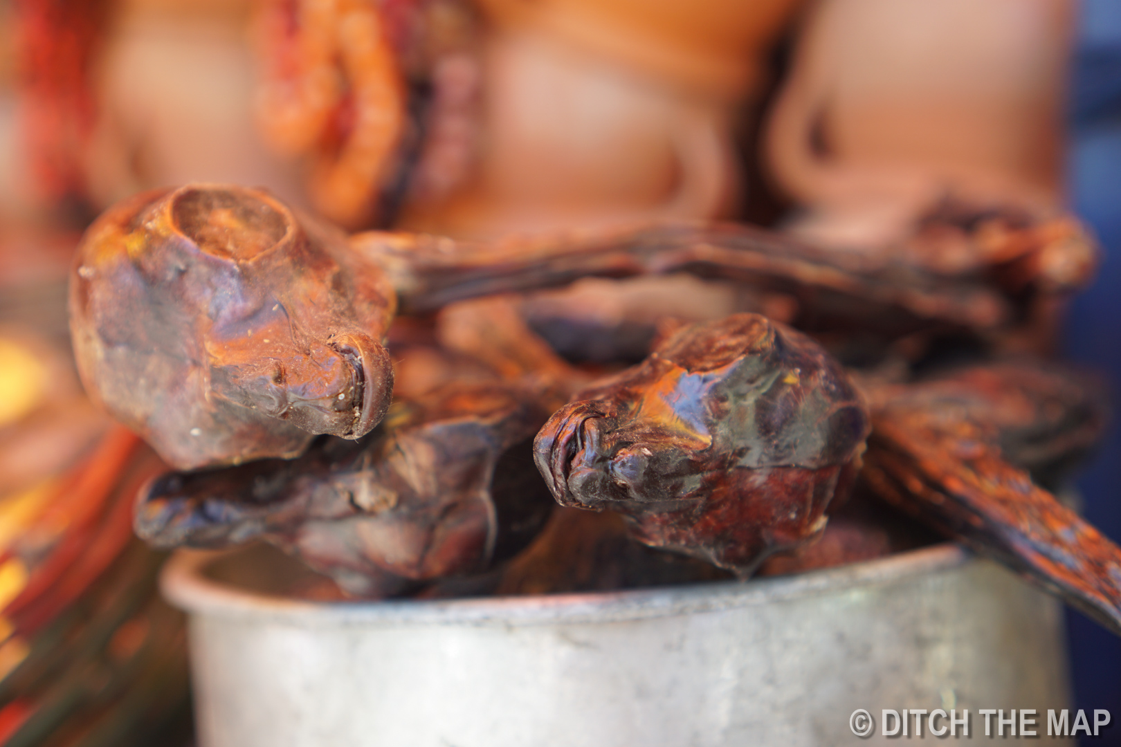 LLAMA FETUSES IN LA PAZ, BOLIVIA