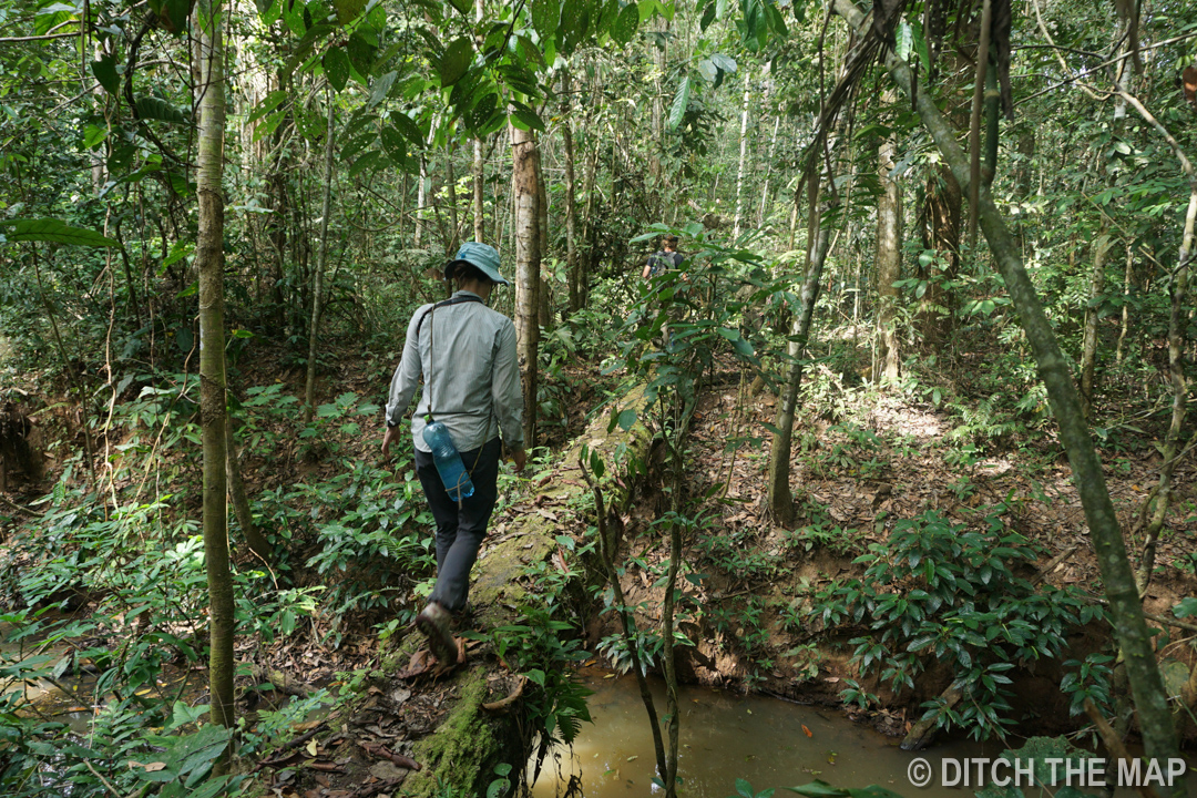 Sylvie crosses over a downed tree in the Amazonian Jungle, Bolivia
