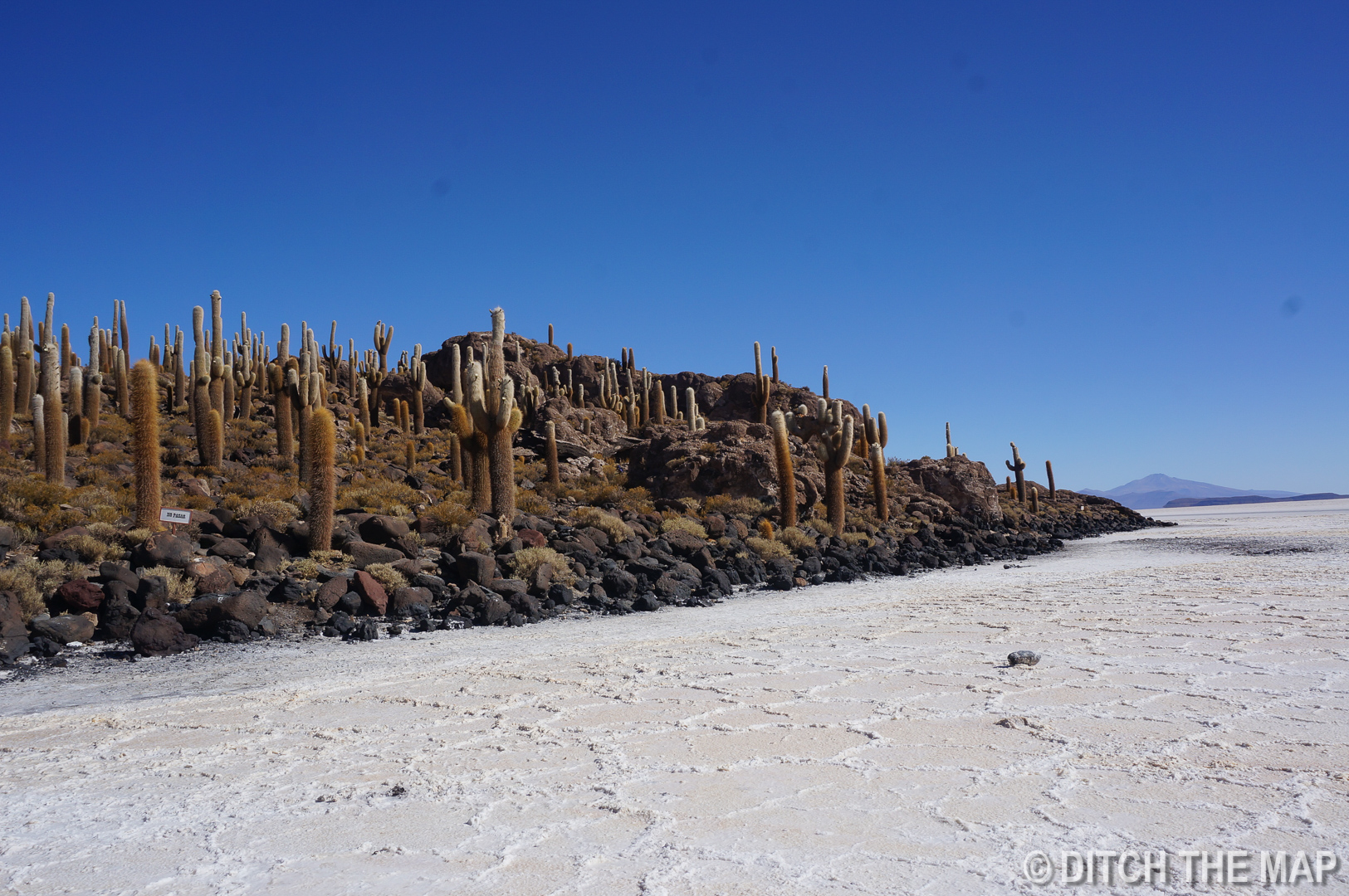 Isla de los Pescados in Salar de Uyuni, Bolivia