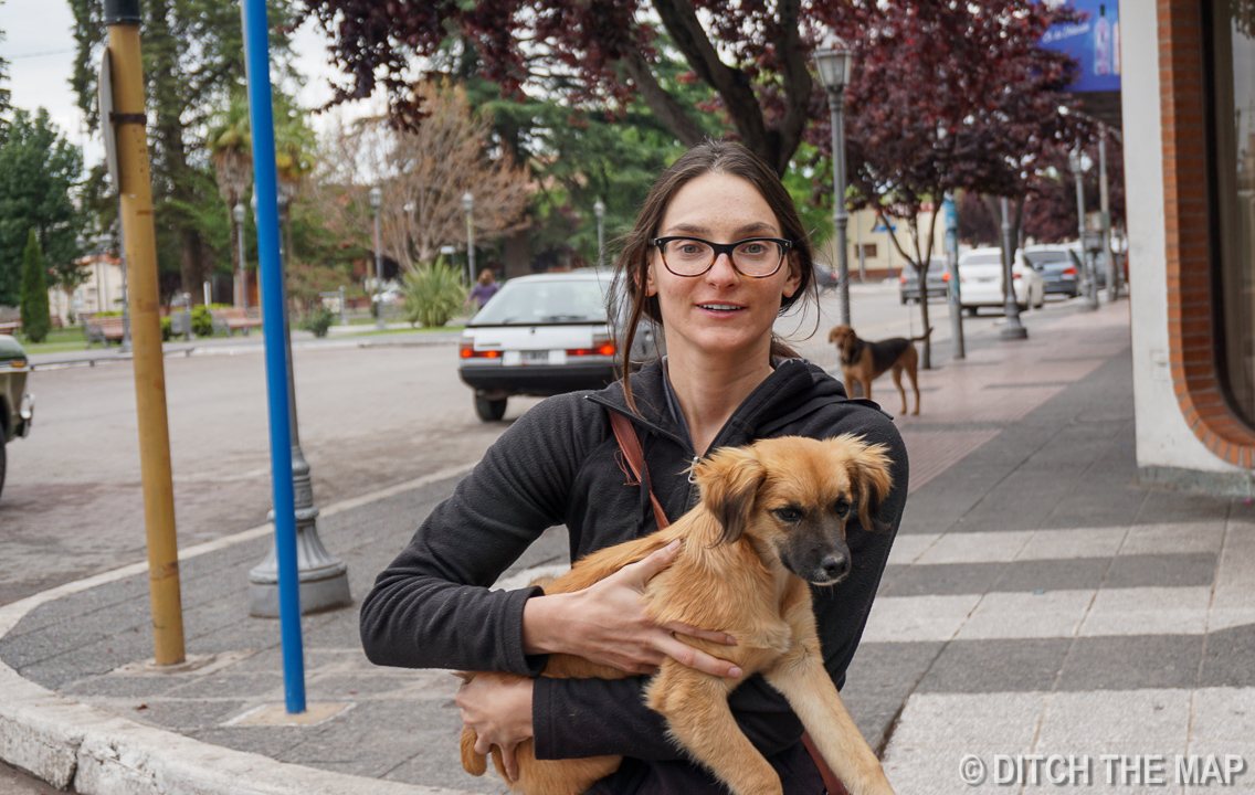 Willow follows us all the way into town in Tupungato, Argentina
