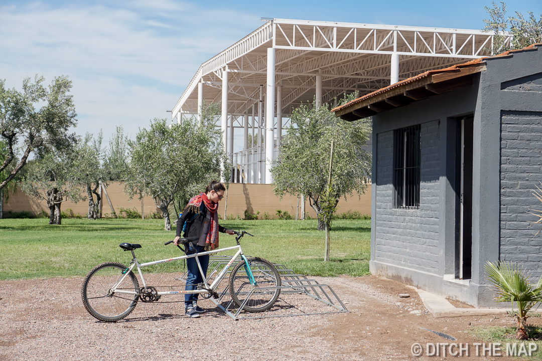 We rented a tandem to go up and down the 12km (8 mile)N calle de vino in Maipu, Argentina