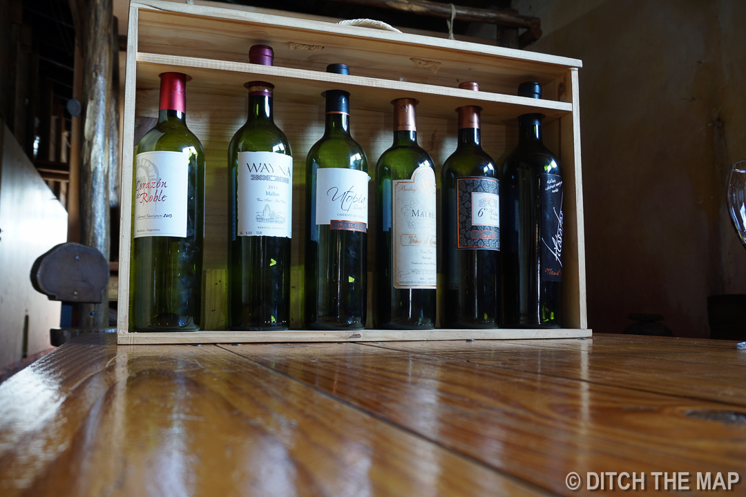 Visiting Vina el Cerno in Maipu, Argentina
