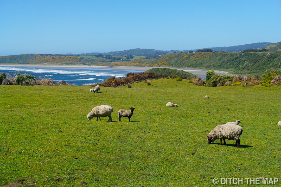 Countryside on the island of Chiloe, Chile