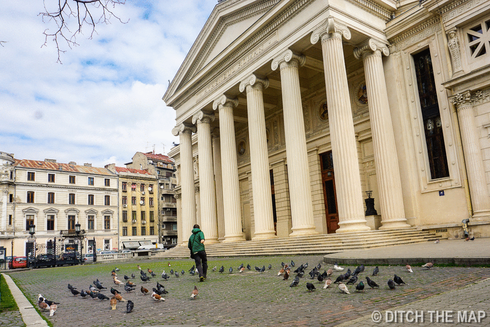 Scott Biales and Sylvie Golec Play with the Pidgeons in Bucharest, Romania