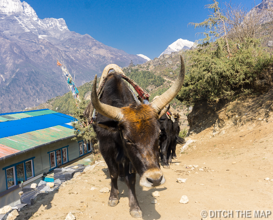 Early start hiking to Tengboche from Namche Bazaar, Nepal
