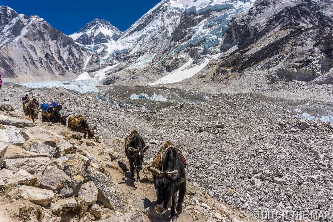 Gorak Shep to EBC, Nepal