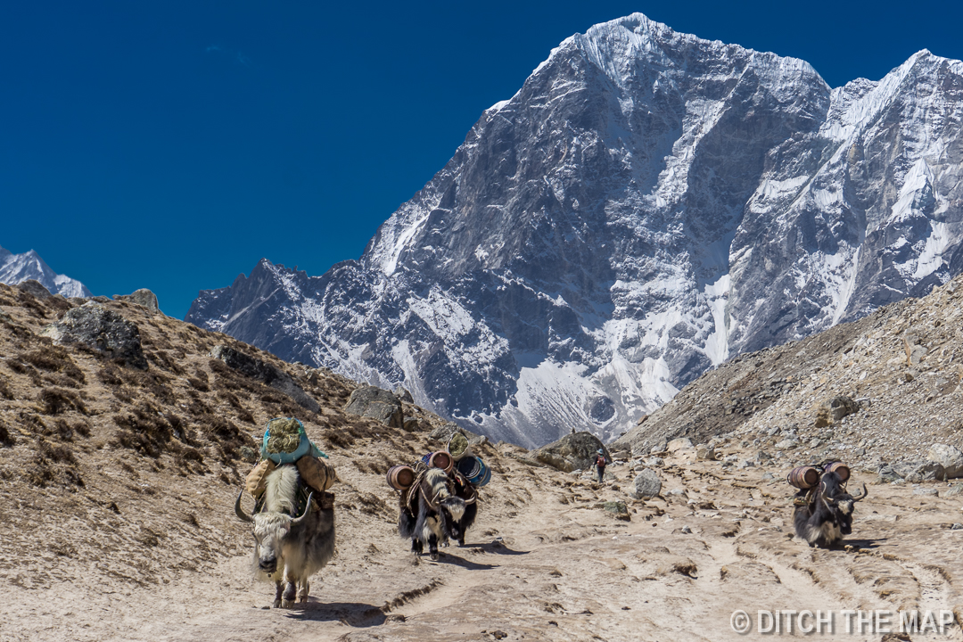 Gorak Shep to Pangboche, Nepal