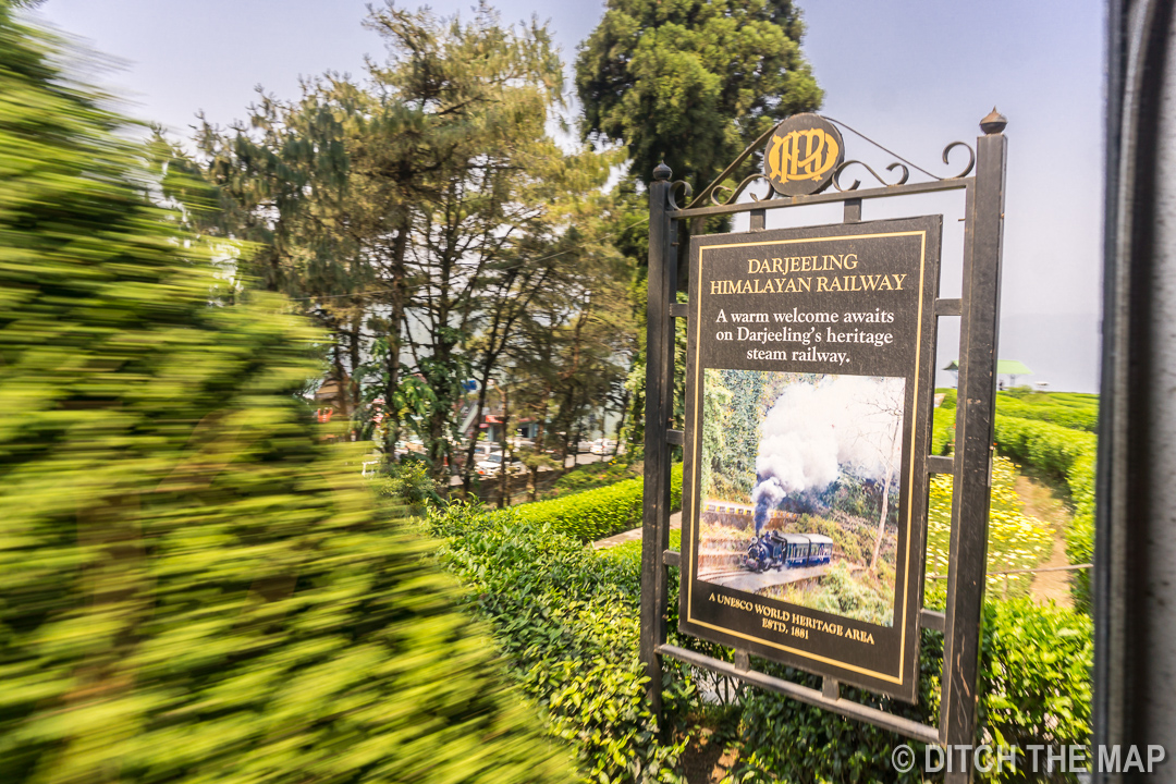 3 Days on a Tea Farm in Darjeeling, India