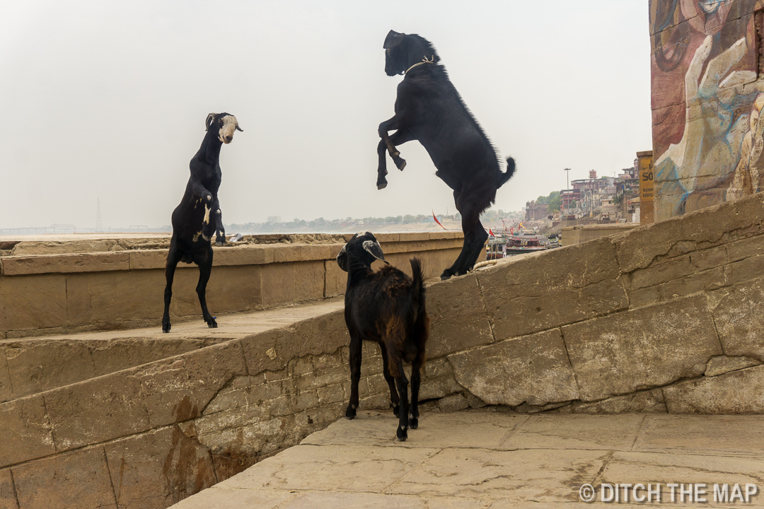 Varanasi, India