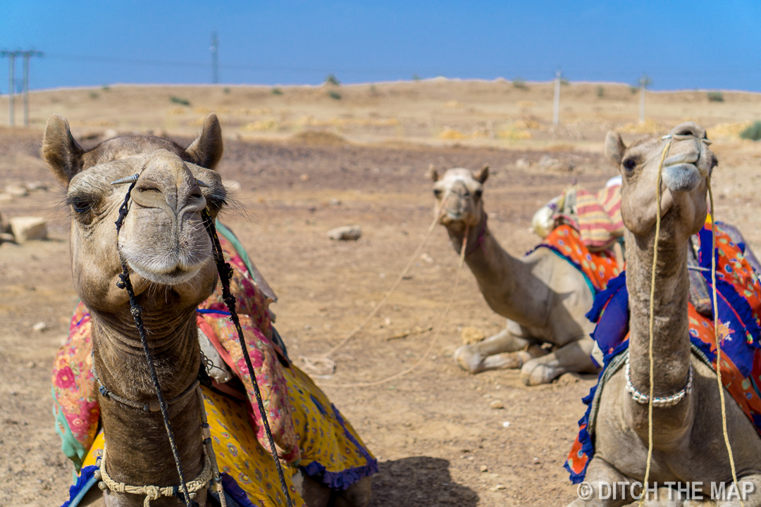 Thar Desert, Jaisalmer, India