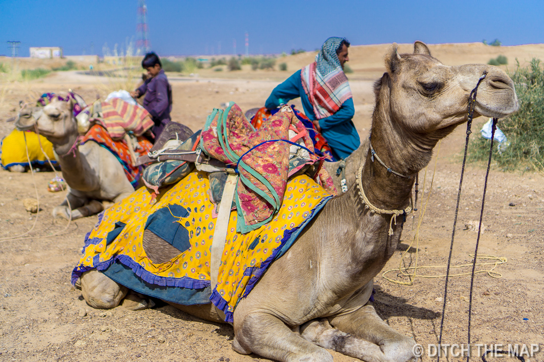 Thar Desert, Jaisalmer, India