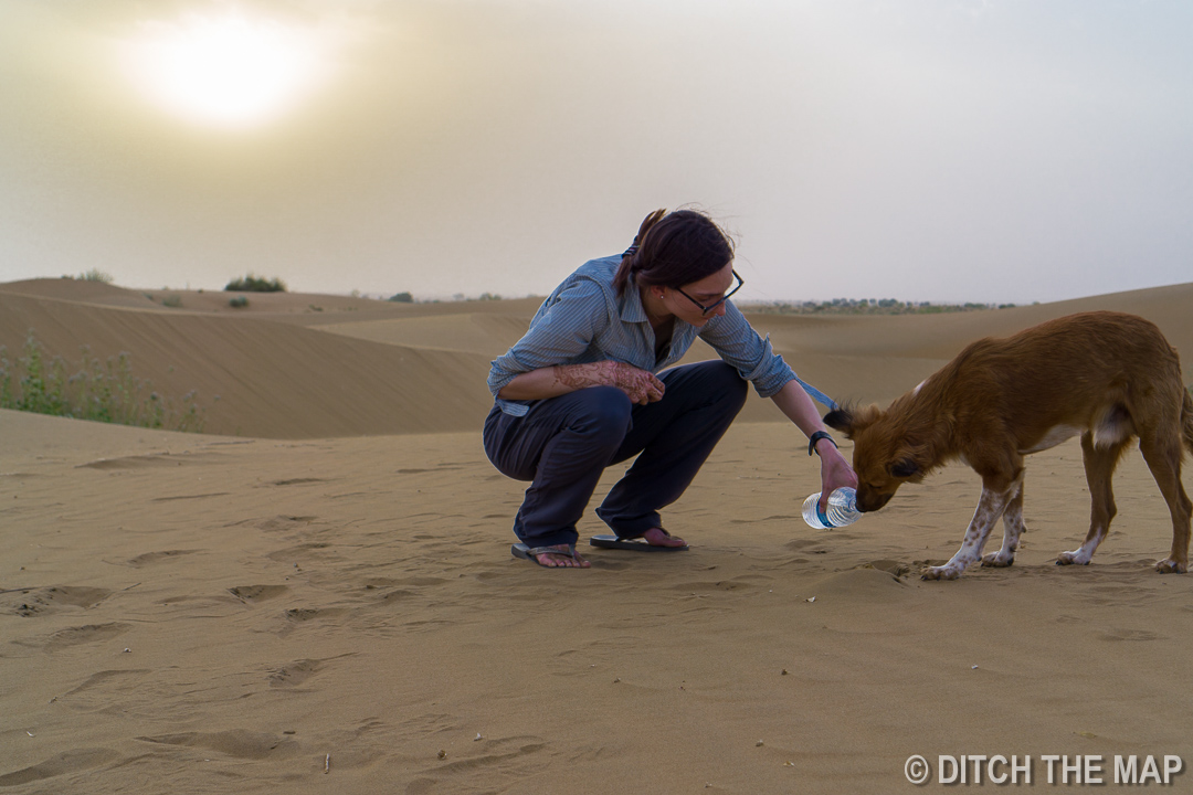 Thar Desert, Jaisalmer, India