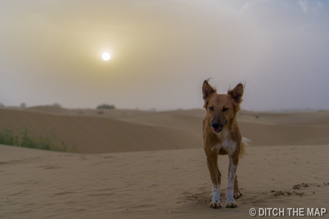 Thar Desert, Jaisalmer, India