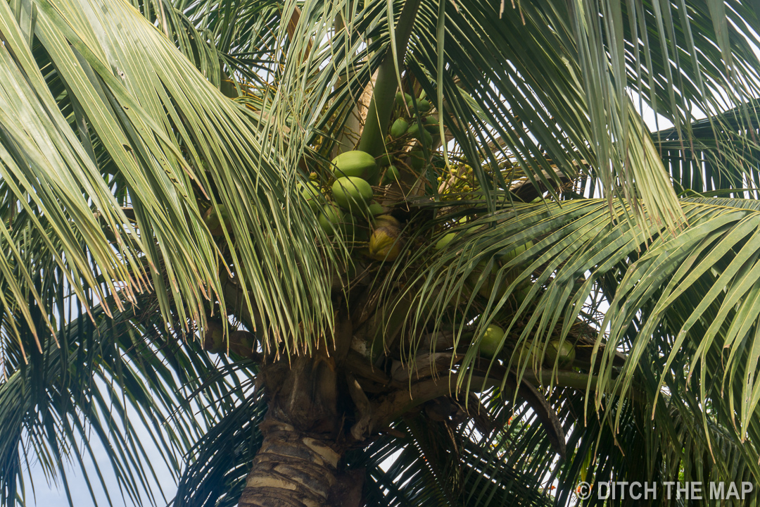 Goa, India