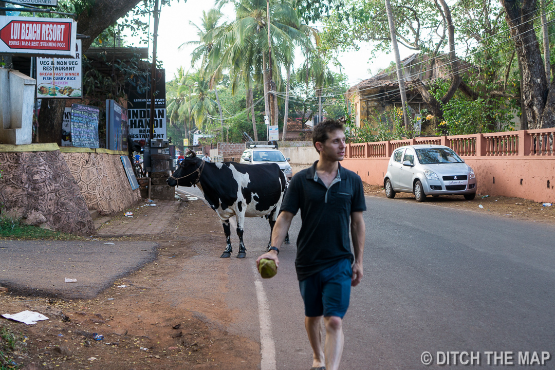 Taking an evening stroll in Candolim, Goa