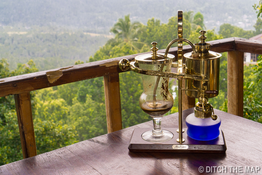 Civet coffee in Munduk, Bali