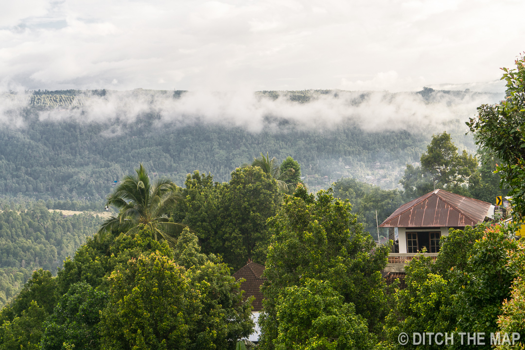 Enjoying the view while enjoying civet coffee in Munduk, Bali