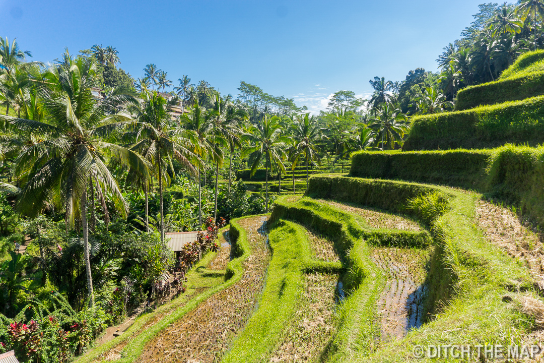 Ubud (Bali), Indonesia