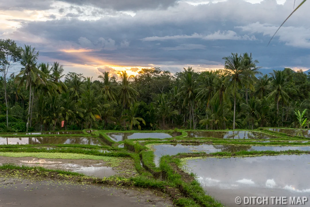 7 Days in Ubud and Tulamben, Bali
