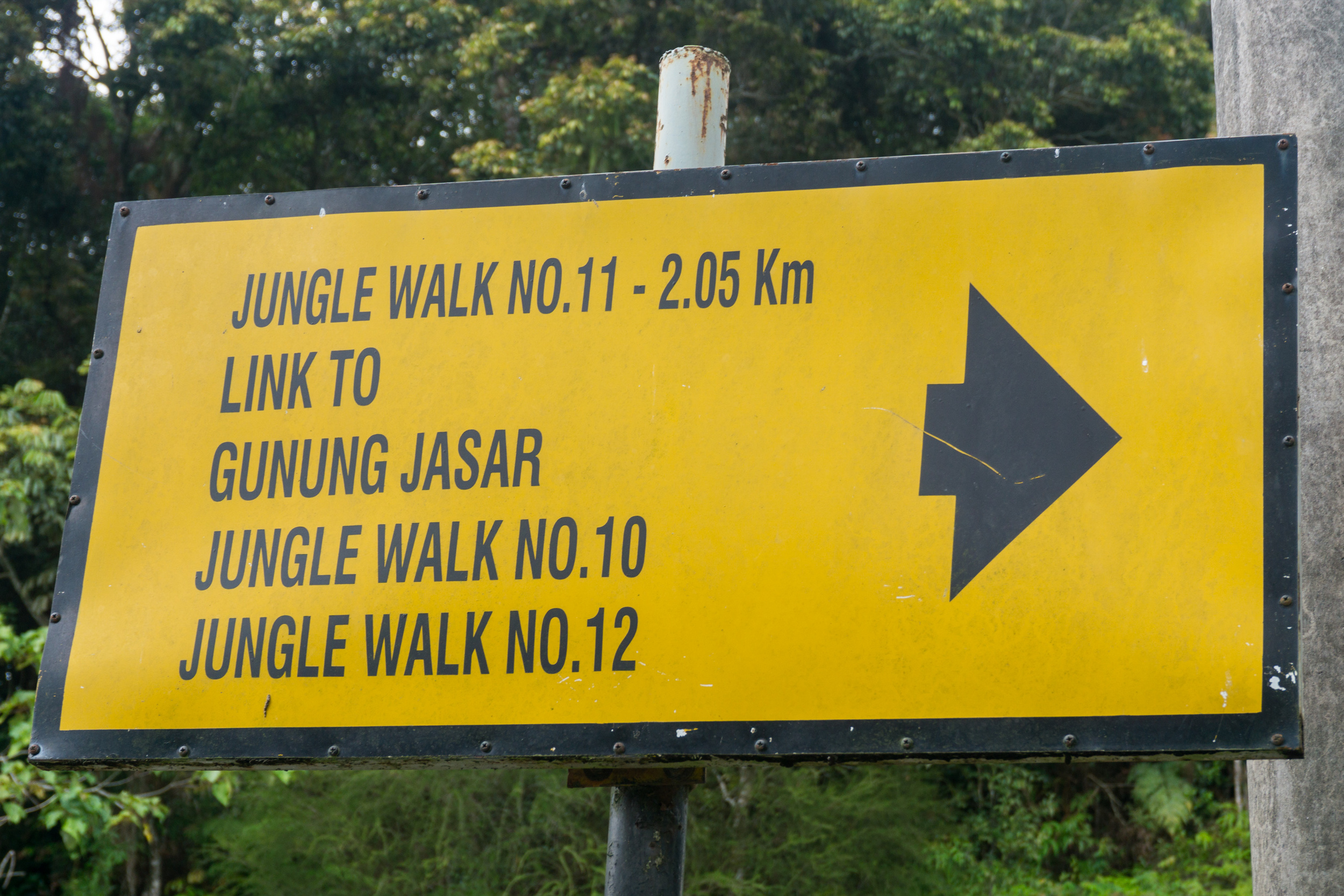 Trail market for Trail #10 in Cameron Highlands, Malaysia